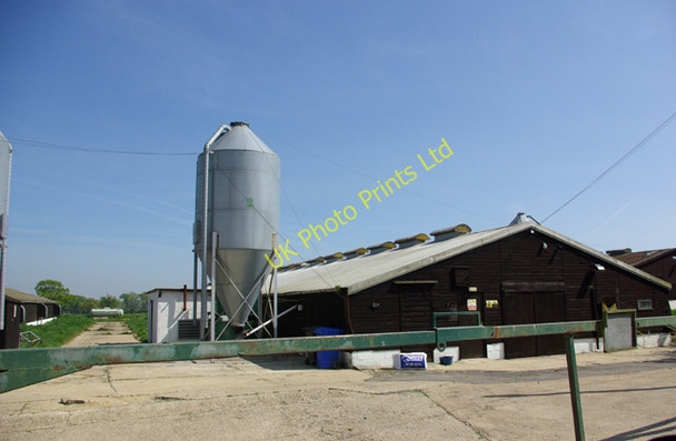Photo 6"x4" Poultry houses Brook Street\/TQ9333 c2007