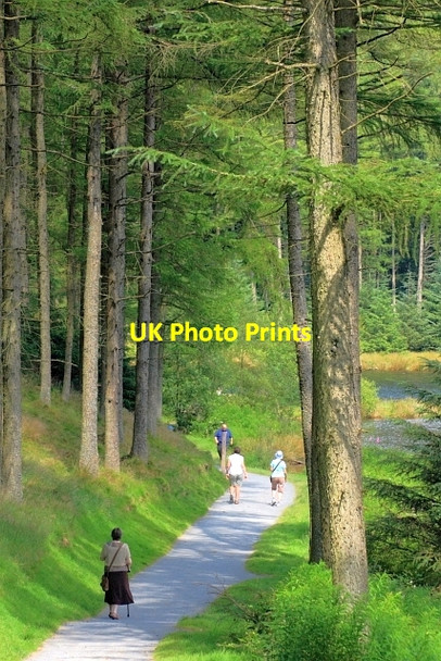 Photo 6"x4" Lakeside Path, Nantyrarian Cwmbrwyno c2012