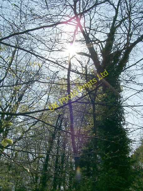 Photo 6"x4" Forest Fawr, nr Tongwynlais Bwlch-y-cwm c2007