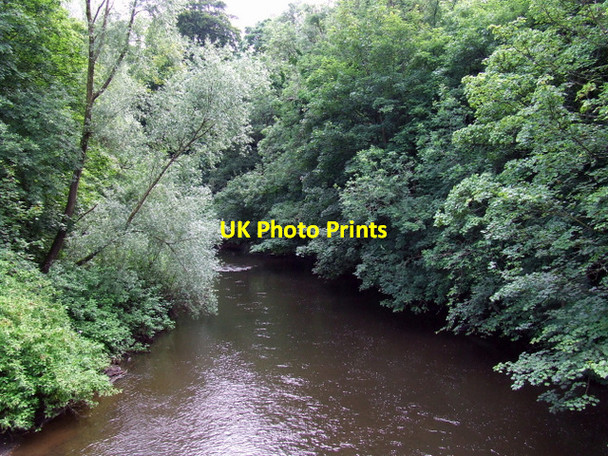 Photo 6"x4" The River Kelvin Dowanhill c2012
