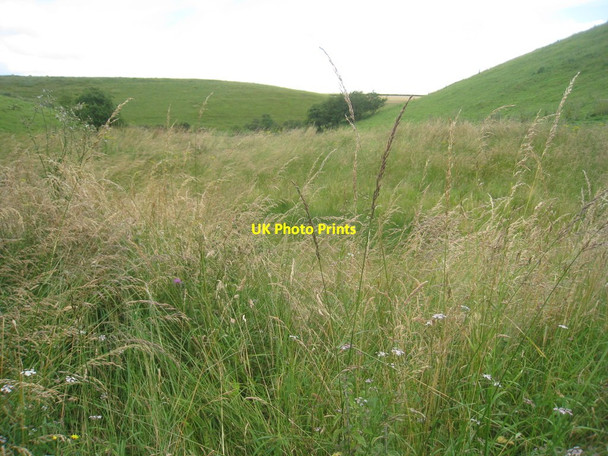 Photo 6"x4" Cowlam Well Sledmere c2012