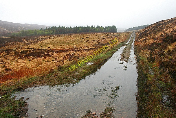 Photo 6"x4" Kilmory Glen Sgaorishal c2007