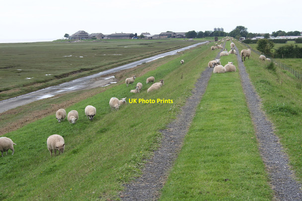 Photo 6"x4" Embankment and track to Bank End Farm Bank Houses c2012
