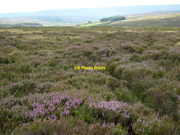 Photo 6"x4" Snilesworth Moor Chop Gate c2012