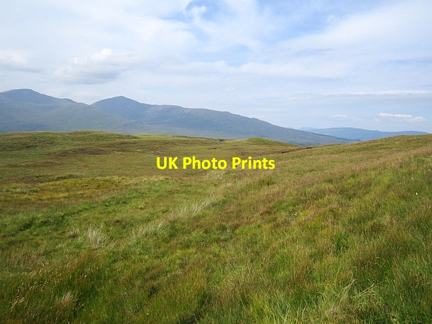 Photo 6"x4" Grassland, Carn B\u00c3\u00a0n Croggan c2012