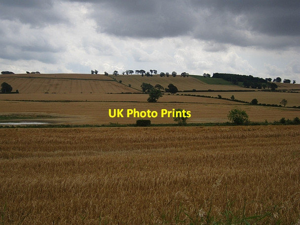 Photo 6"x4" A barley landscape Heiton c2012