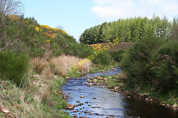 Photo 6"x4" Burn of Aultmore Glen of Newmill c2007
