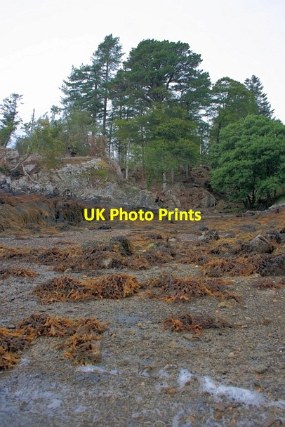 Photo 6"x4" Shoreline near Eilean Shona House Arean c2012
