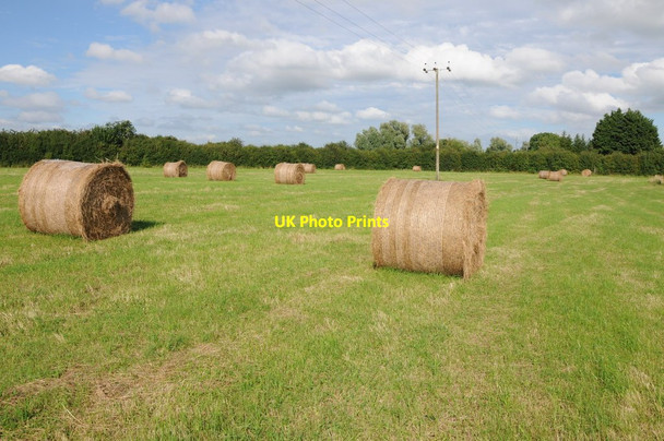 Photo 6"x4" Hay bales in a field near Eldersfield Lime Street c2012