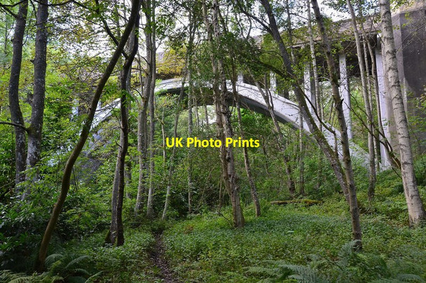 Photo 6"x4" Braidwood Bridge from below Temple\/NT3158 c2012