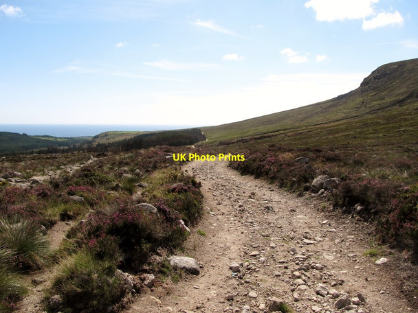 Photo 6"x4" The path to Carrick Little Annalong c2012