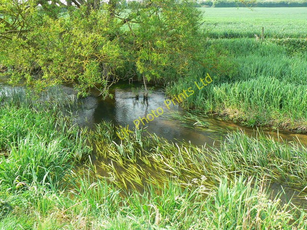 Photo 6"x4" River Thames, Cricklade Cricklade c2007