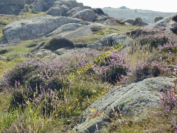 Photo 6"x4" St David's Head Rhosson c2001