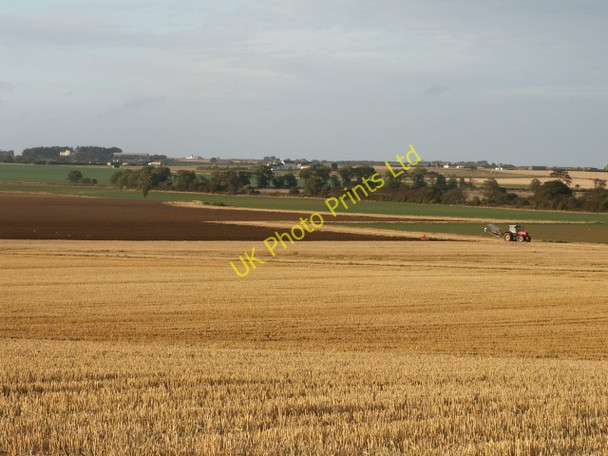 Photo 6"x4" Kilrenny Common Anstruther Easter c2005