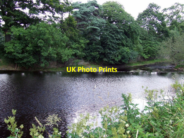 Photo 6"x4" Water of Leith Craiglockhart c2012 P1