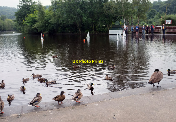 Photo 6"x4" Sunday sailors Romiley c2012