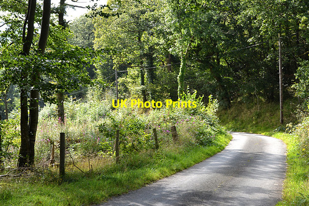 Photo 6"x4" Minor road descending the Clegyrnant valley Pandy\/SH9004 c2012