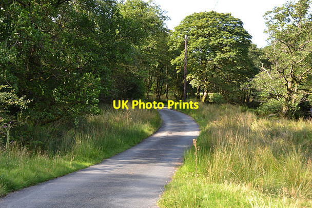 Photo 6"x4" Road by the Clegyrnant Pandy\/SH9004 c2012