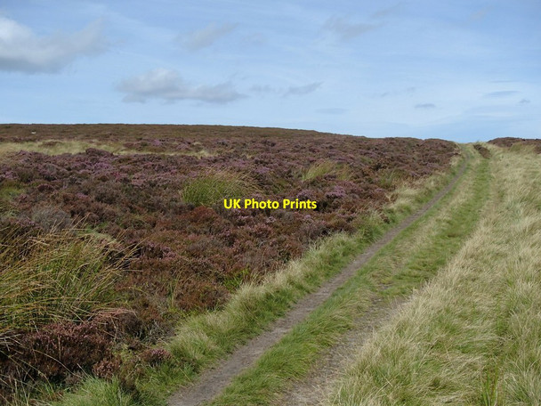 Photo 6"x4" Path on Totley Moor Nether Padley c2012