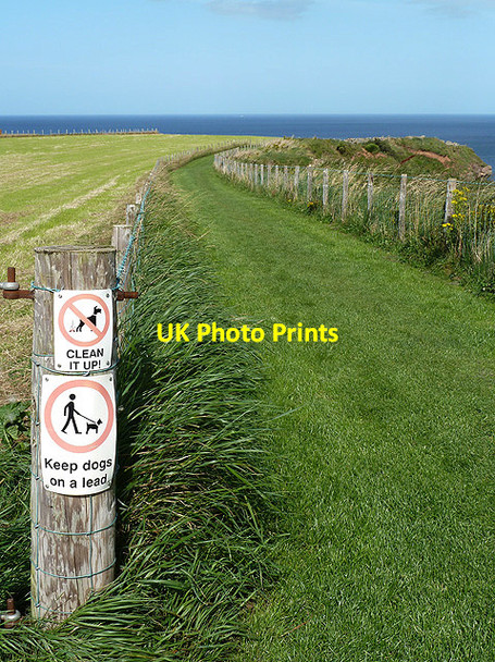 Photo 6"x4" The Berwickshire Coastal Path Marshall Meadows c2012