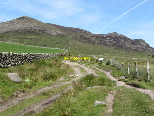 Photo 6"x4" The Carrick Little Track just beyond the mountain gate Annalong c2011