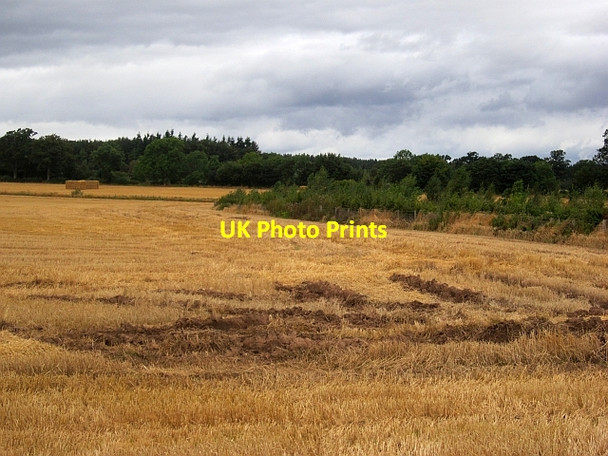 Photo 6"x4" Ruts and stubble, Burrelton Burrelton c2012