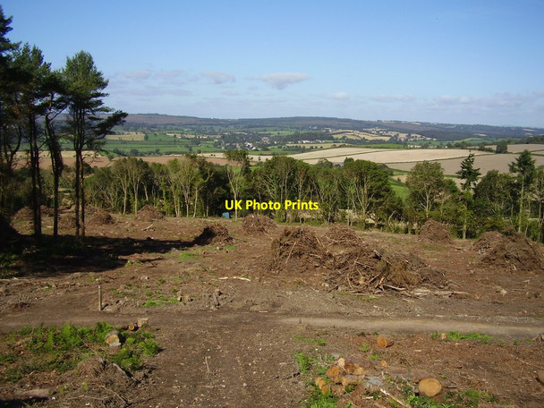 Photo 6"x4" All gone Sidmouth c2012