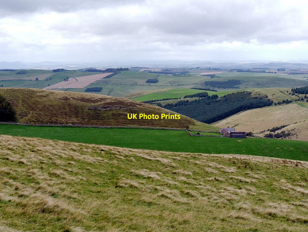 Photo 6"x4" Elsdonburn Shank from Ring Chesters Pawston c2012
