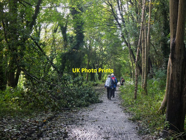 Photo 6"x4" Path along the former railway, Water of Leith Bonaly c2012