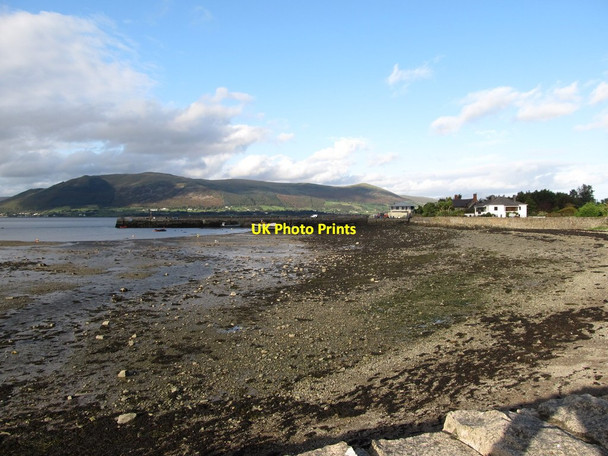 Photo 6"x4" View east across the harbour at Carlingford at low tide Carlingford c2012