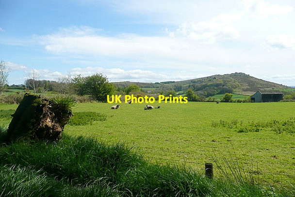 Photo 6"x4" View towards Honeybag Tor Bonehill\/SX7277 c2012