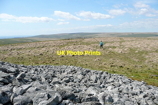 Photo 6"x4" From one barrow to another Didworthy c2012