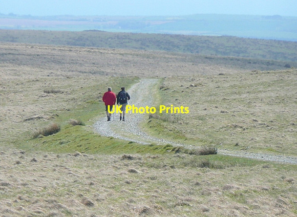 Photo 6"x4" Homeward bound Didworthy c2012