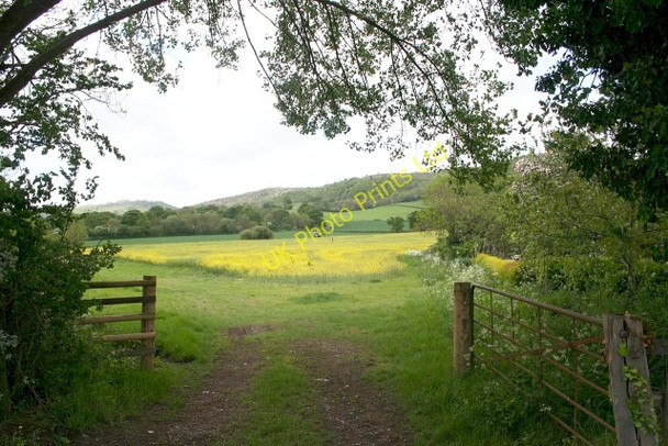 Photo 6"x4" Rape field off Hancocks Lane Chandler's Cross\/SO7738 c2007