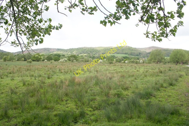 Photo 6"x4" Castlemorton Common Marl Bank c2007