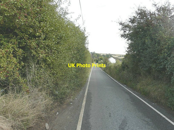 Photo 6"x4" Plough Road Eastchurch\/TQ9871 c2012
