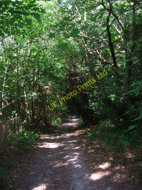 Photo 6"x4" Tinwood Lane, Van Diemens Crockerhill\/SU9207 c2006