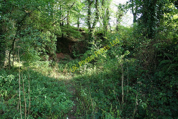 Photo 6"x4" Witheridge: near Witheridge Mill Witheridge\/SS8014 c2006