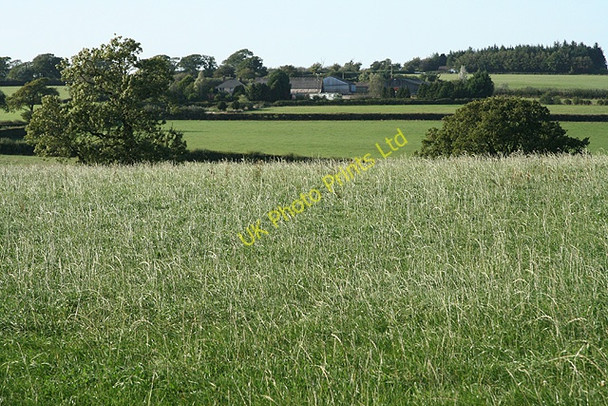 Photo 6"x4" Witheridge: towards Broadridge Farm Witheridge\/SS8014 c2006