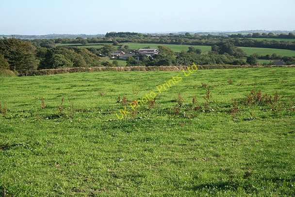 Photo 6"x4" Rose Ash: towards Great Venhay Ash Moor c2006
