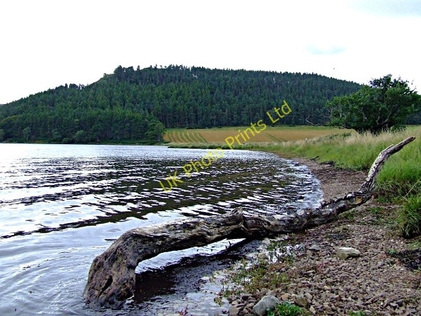 Photo 6"x4" Looking towards Dun Creich Spinningdale c2006