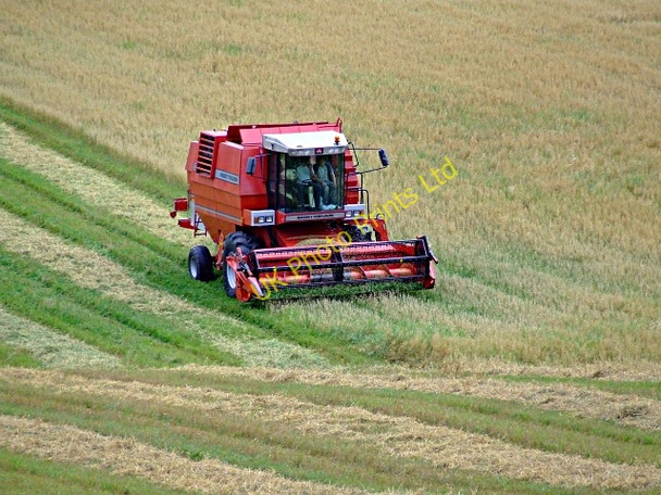 Photo 6"x4" Harvest time at Creich Farm Ardchronie c2006
