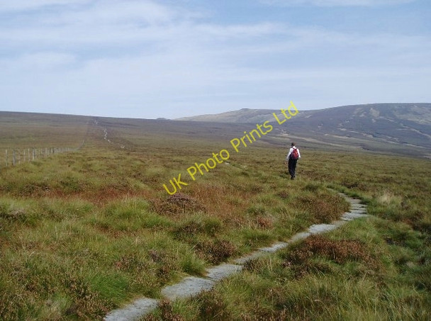 Photo 6"x4" Walking the line Davidson's Burn c2006