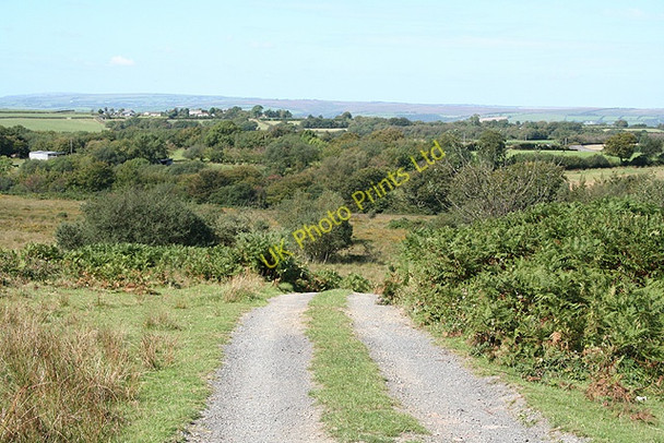 Photo 6"x4" Knowstone: on Hares Down Roachill c2006