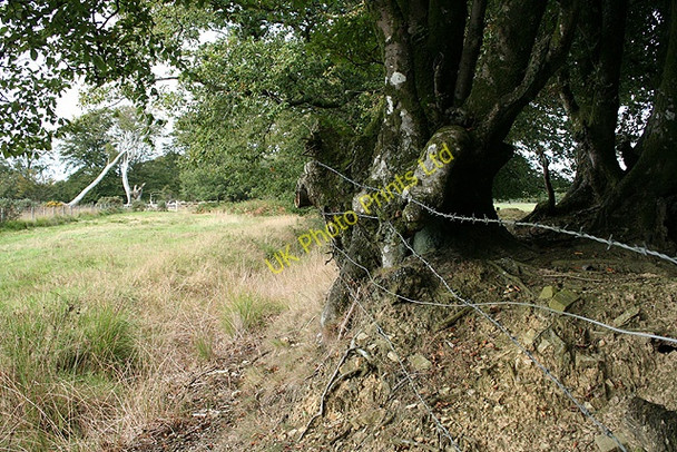 Photo 6"x4" Rackenford: by Great Plantation Rackenford c2006