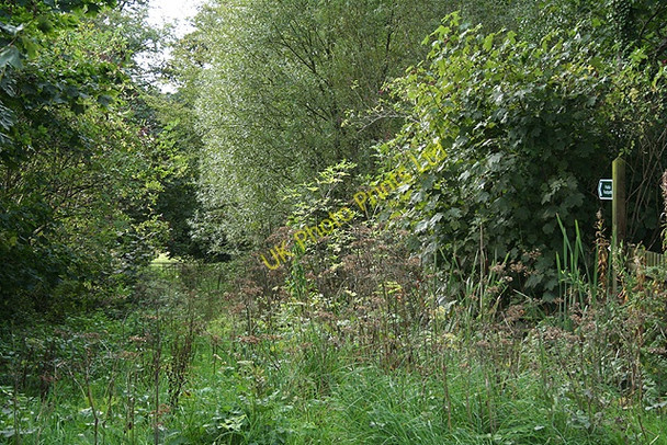 Photo 6"x4" Knowstone: public footpath East Knowstone c2006