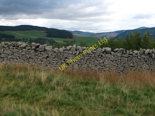 Photo 6"x4" Site of Iron Age Fort, Cardrona Forest Cardrona Village c2006