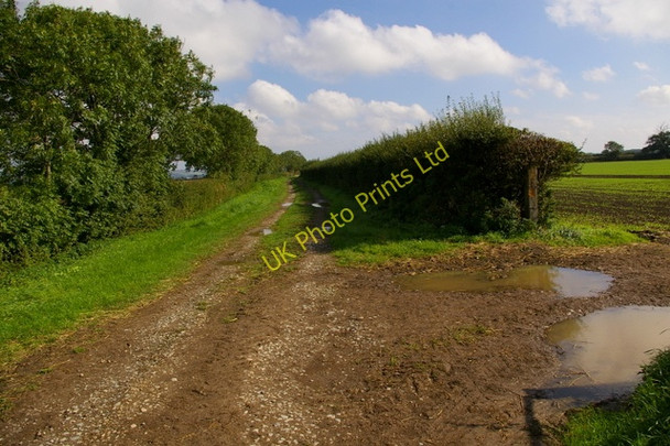 Photo 6"x4" Looking East Along Green Lane Wilton\/SE8682 c2006