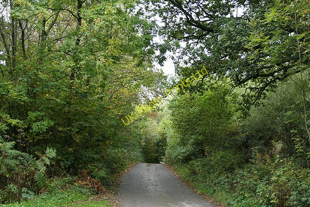 Photo 6"x4" Brushford: by Trackford Moor Oldways End c2006