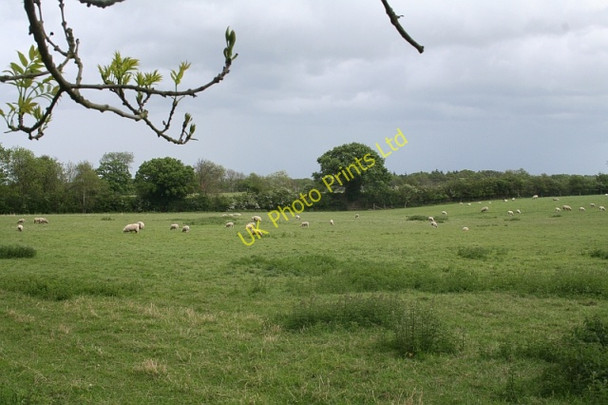 Photo 6"x4" LMS Railway Embankment, Malvern Wells Malvern Wells c2007